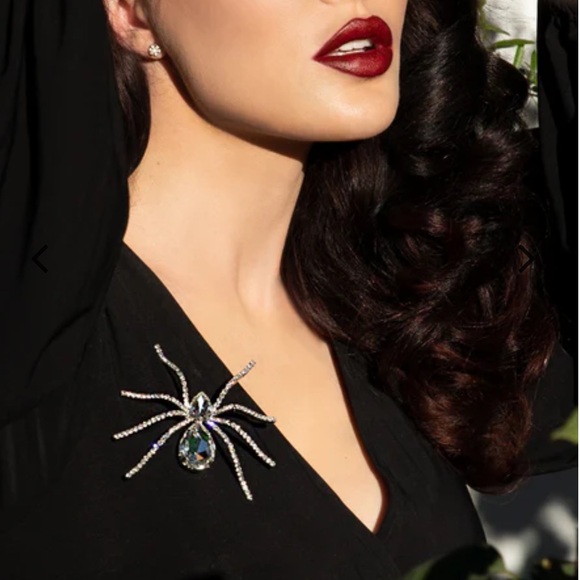 la femme en noir Jewelry - La Femme En Noir Large Spider brooch NWOT